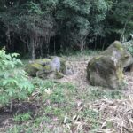 Thumbnail of post image 172